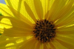 woodland sunflower vase