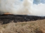 Prescribed Burn at Fingal Spring 2020