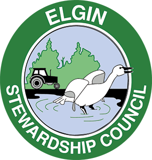 Elgin Stewardship Council