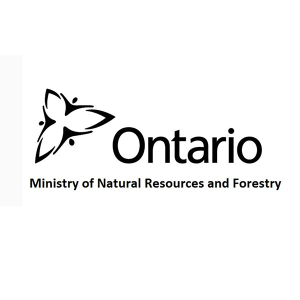 Ministry of Natural Resources and Forestry